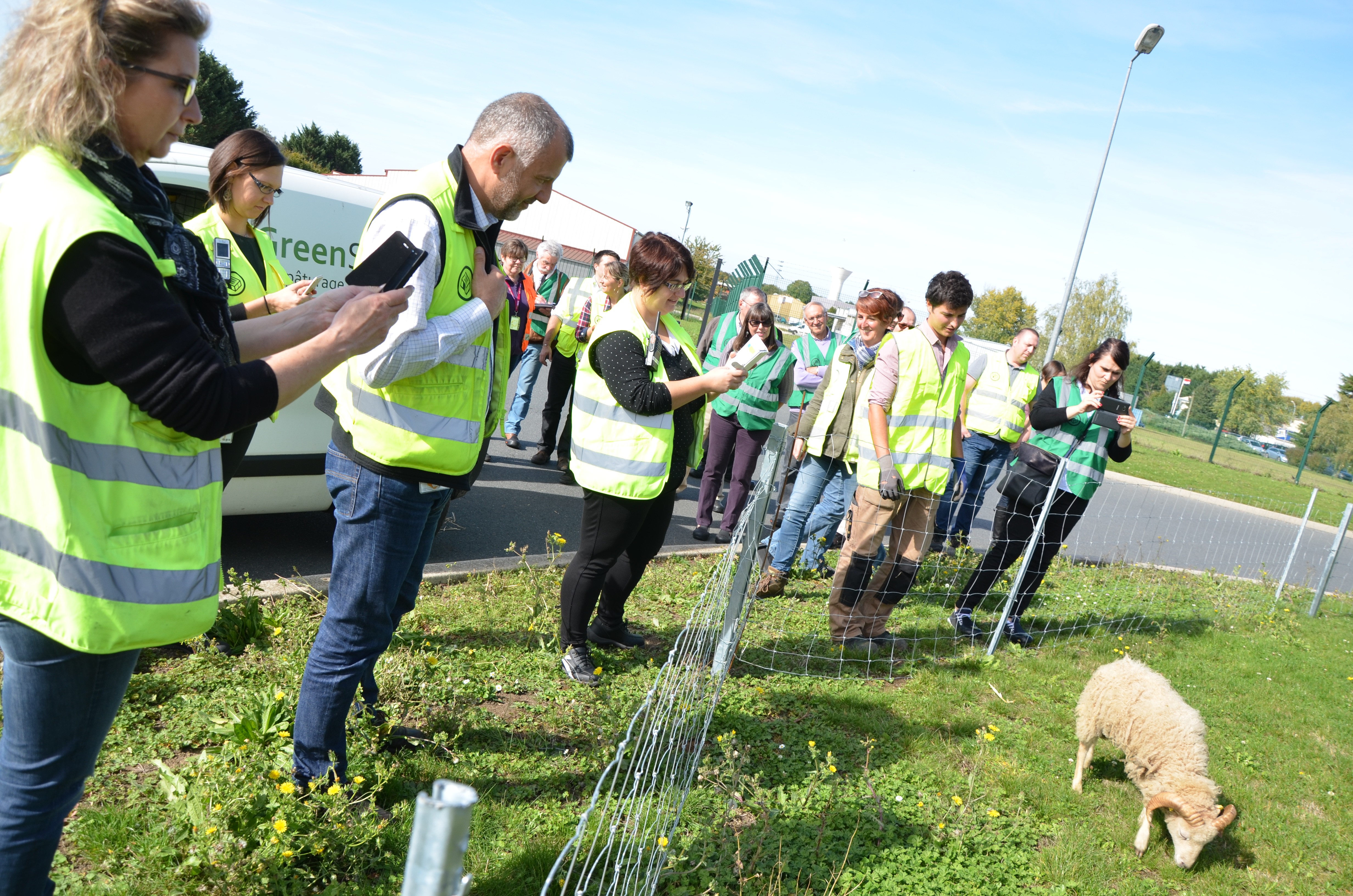 Eco-grazing is an initiative that falls under the ISO 14001 and HQE (High Environmental Quality) environmental certifications.